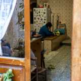 Mentre all�interno l�anziana proprietaria � intenta a pulire e lavare altri ortaggi